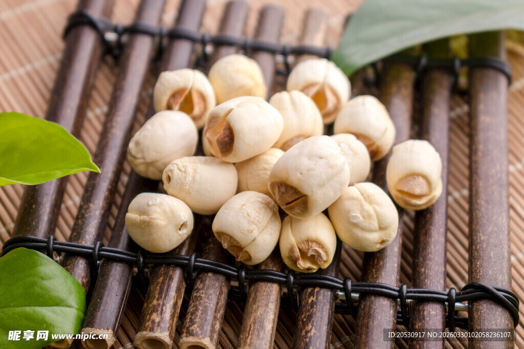 小竹排上的几颗中药药材莲子