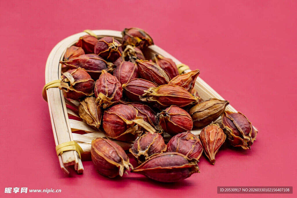 中药黄栀子高清摄影图