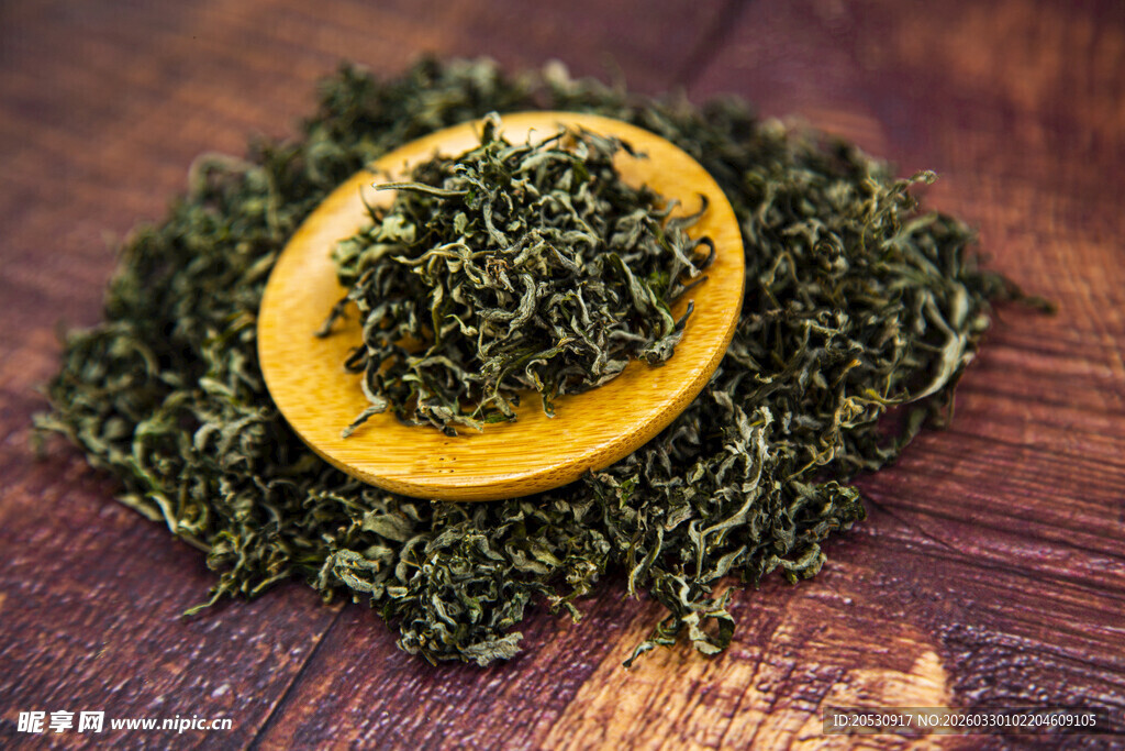 艾草摄影图药物养生中药