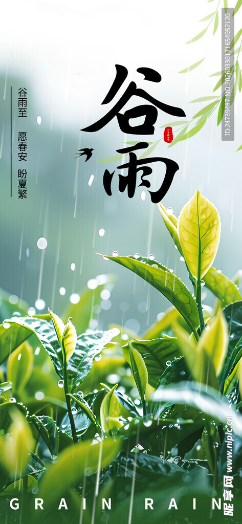 谷雨海报