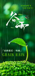 谷雨海报
