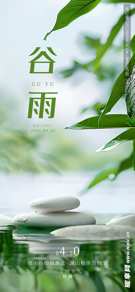 谷雨海报 