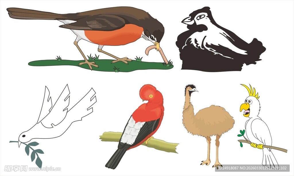 多彩鸟类图案集合