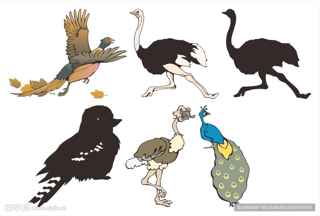 多彩鸟类图案集合