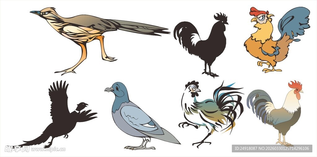 多彩鸟类图案集合