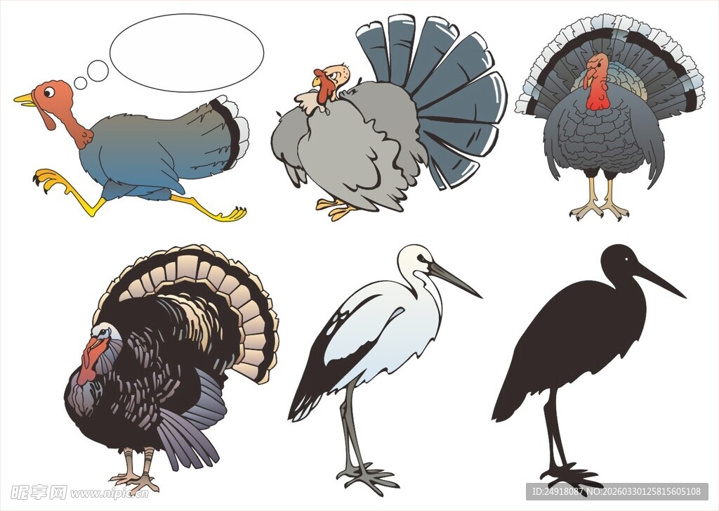 多彩鸟类图案集合
