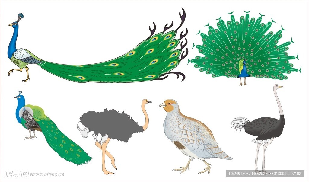 多种鸟类与绿植展示