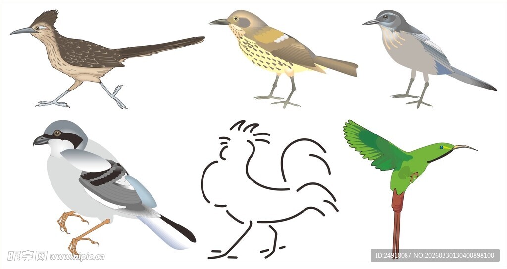 多种鸟类及植物图案