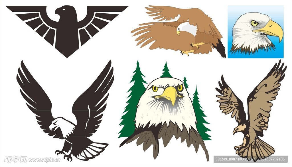 多样雄鹰图形设计素材