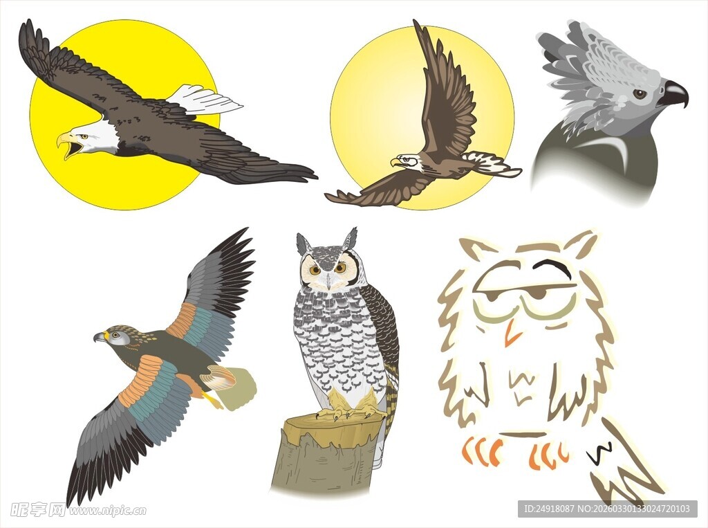 多种飞禽插画集合