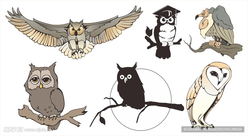 多样猫头鹰插画集合