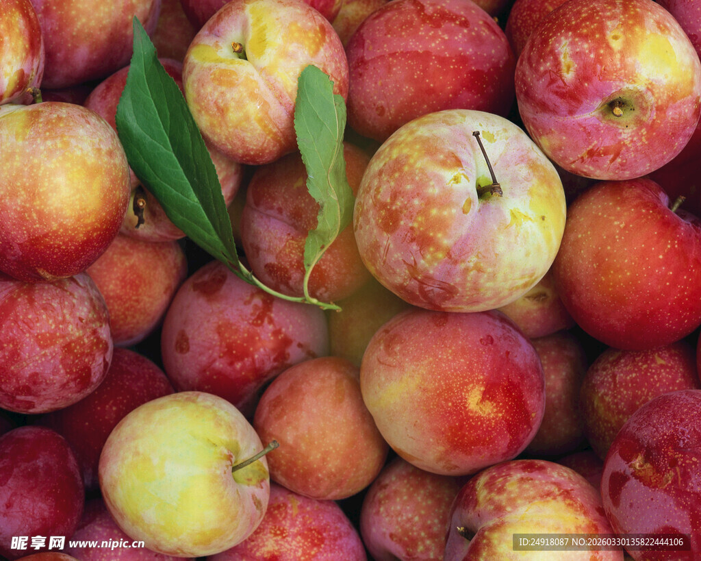 新鲜多汁的成熟桃子