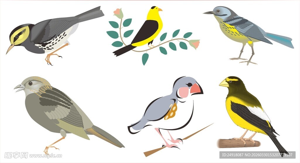 多彩雀鸟集合