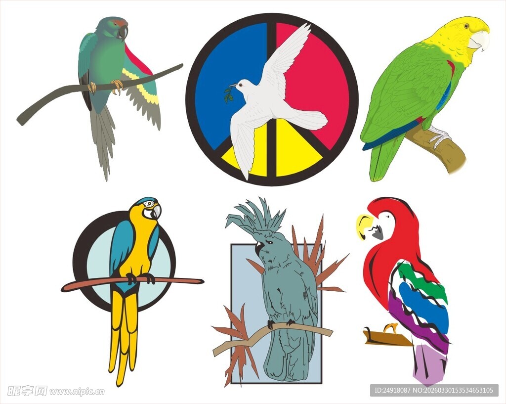多彩鹦鹉图案集合