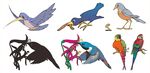 多彩鸟类姿态展示