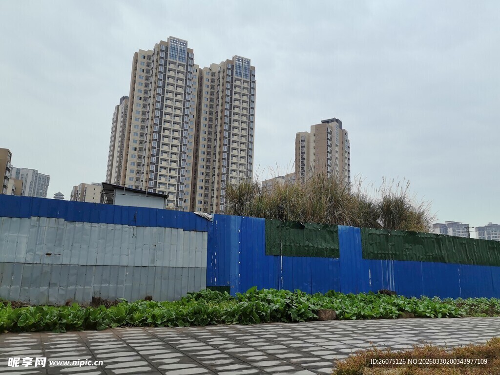 城市工地旁的绿植景观