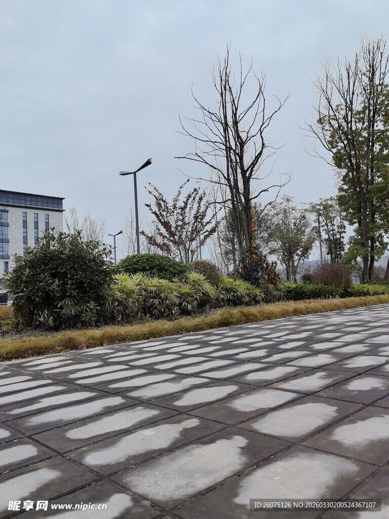 城市中铺石路面与绿植景观