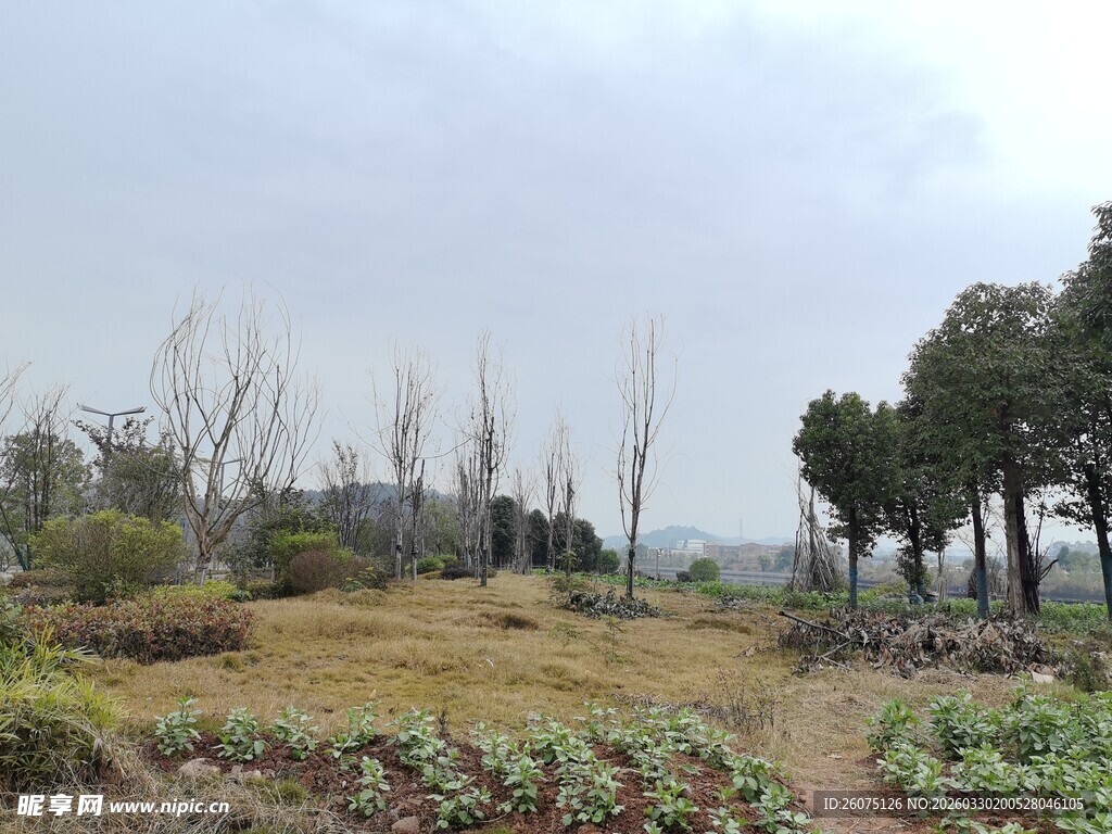 乡村田野风光景色
