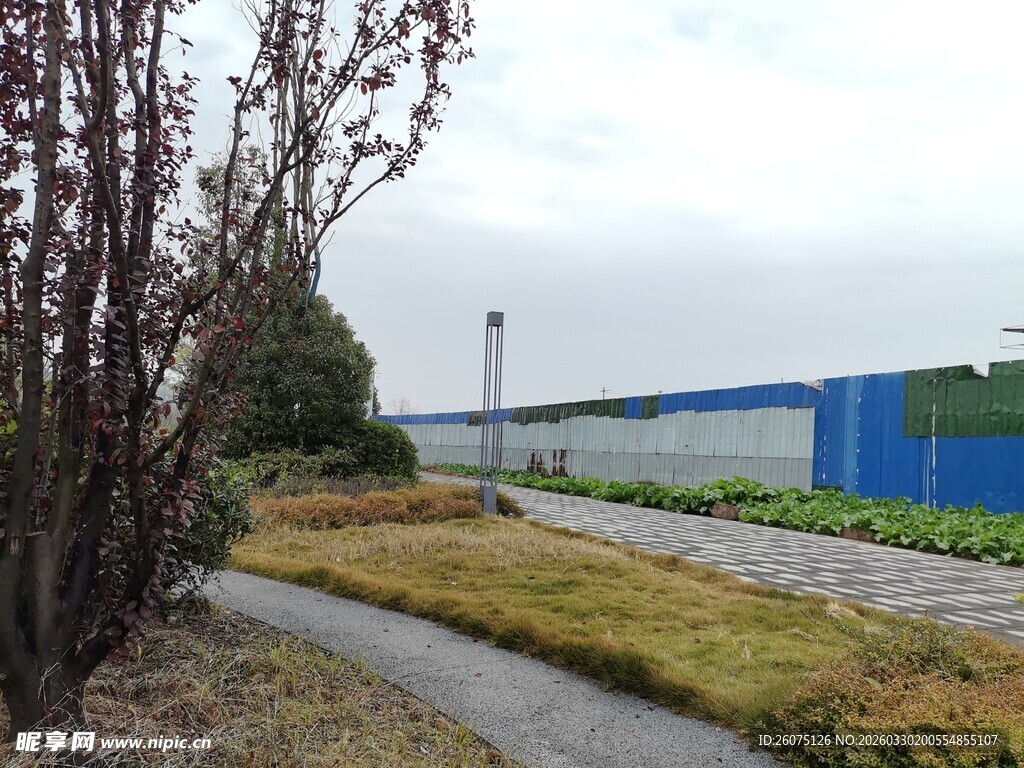 乡间小道旁的绿植与围栏