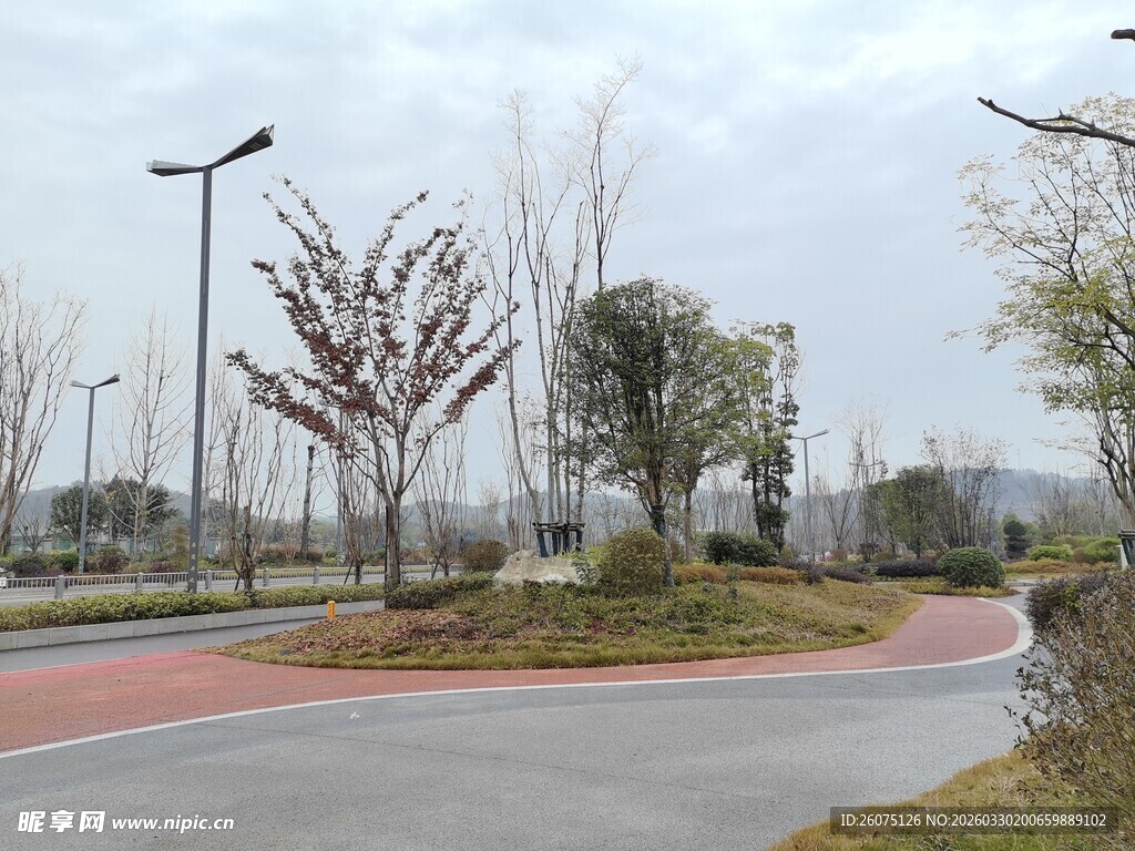 城市公园中的道路景观