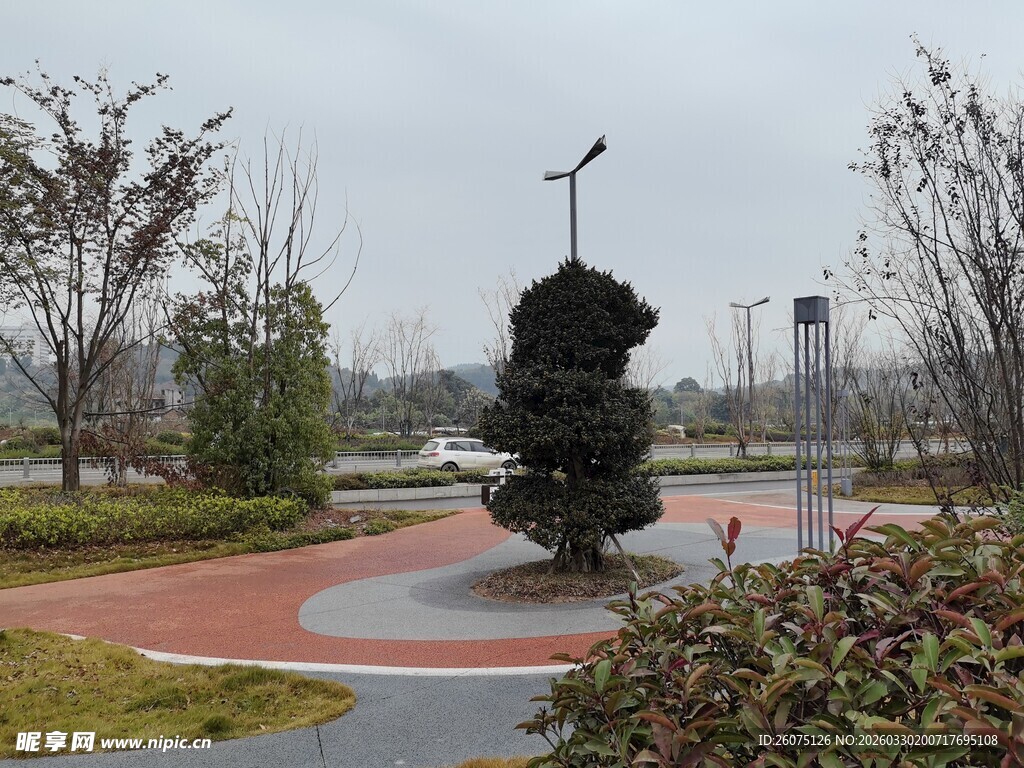 公园中的独特雕塑景观