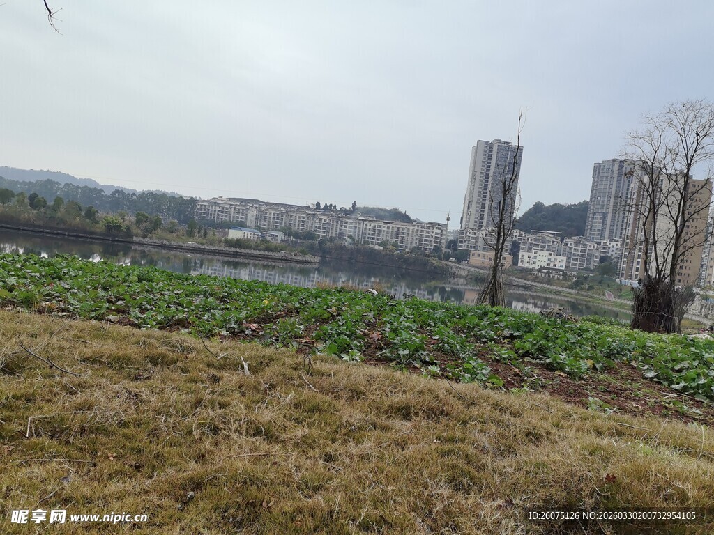 城郊田野与远处城市景观