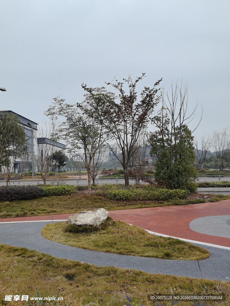 城市公园中的多彩步道景观