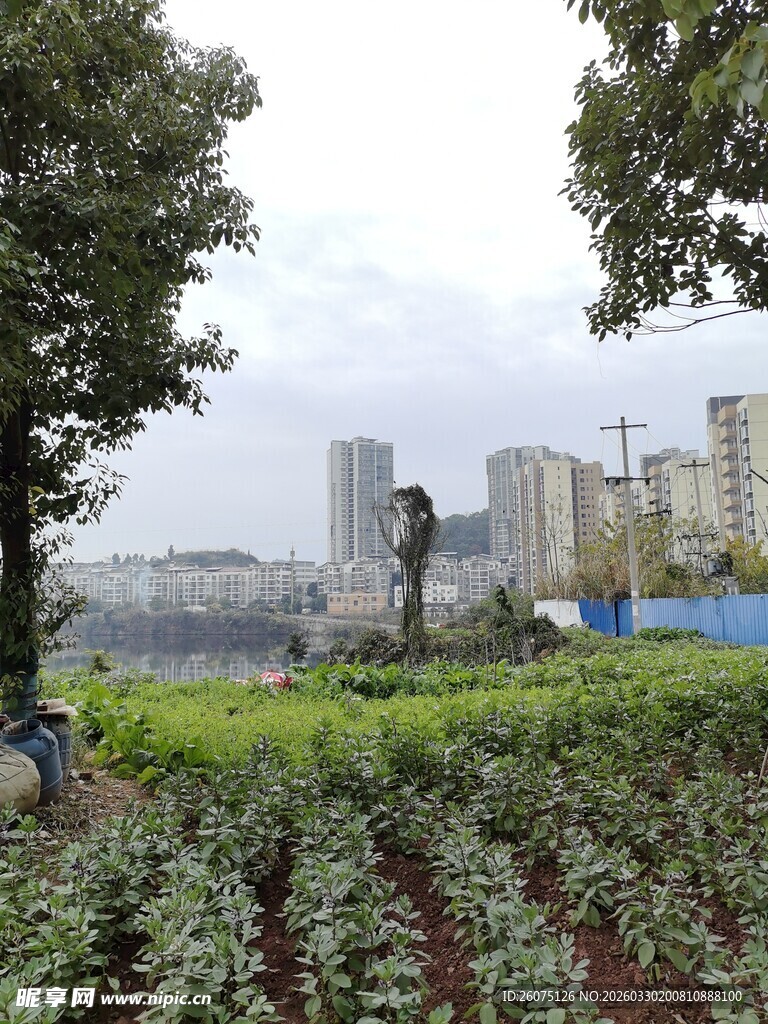 城市中的田园角落