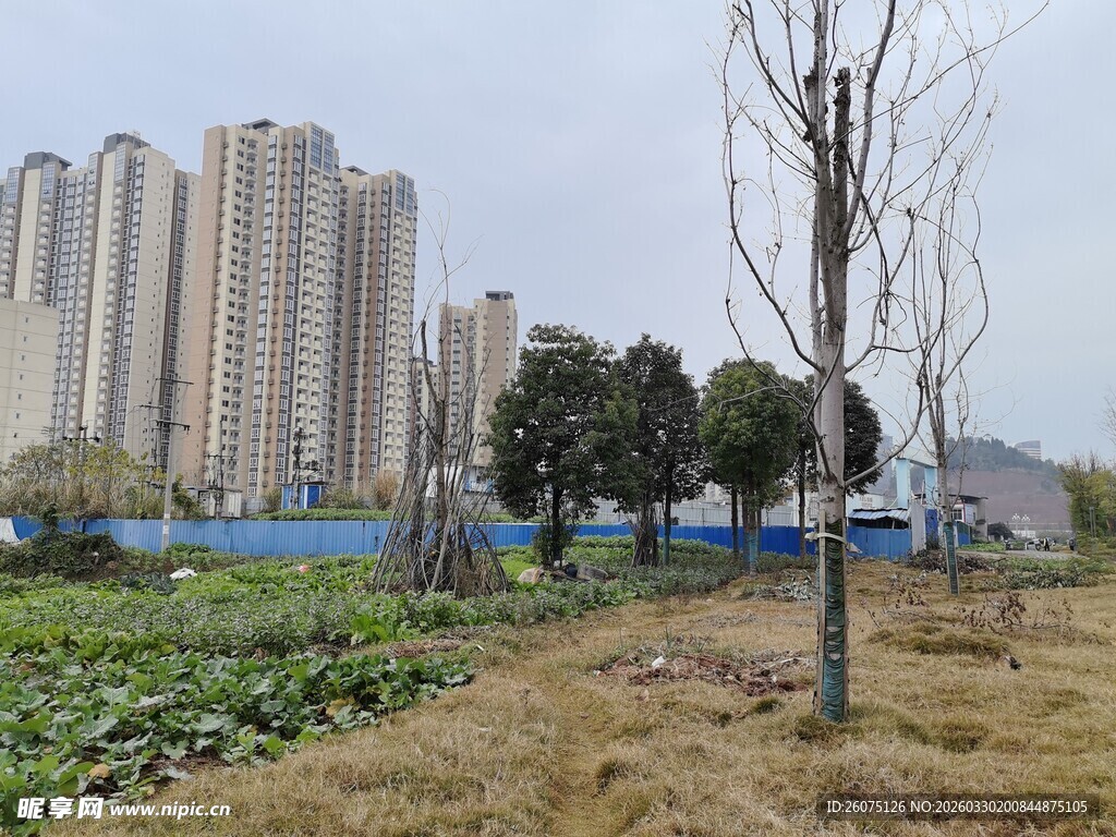 城郊空地与高楼景象