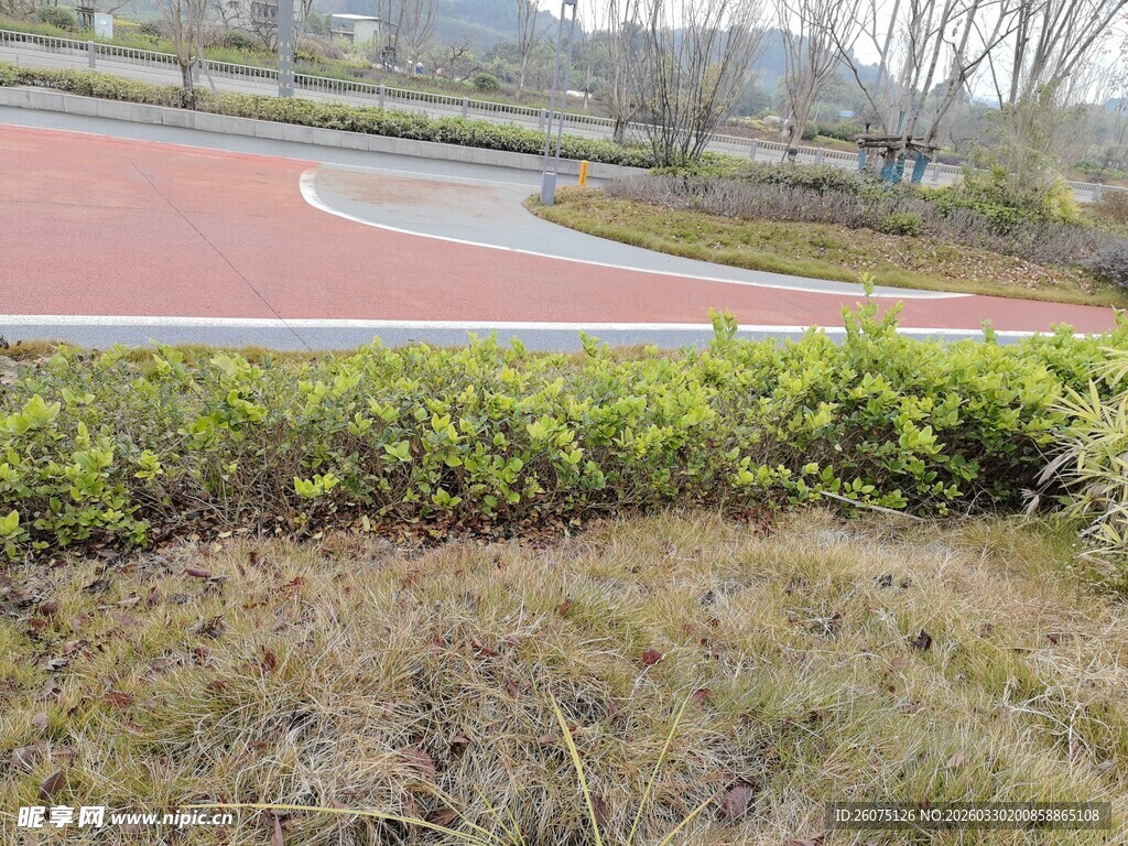 户外公园的绿植与步道