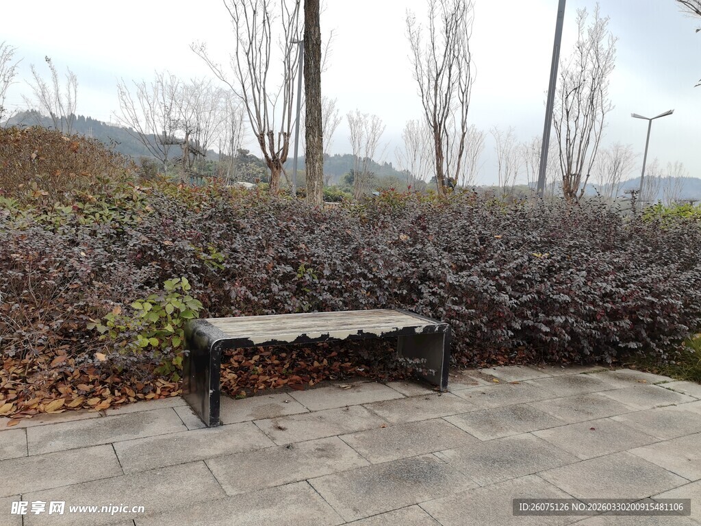 户外长椅静置于绿植旁