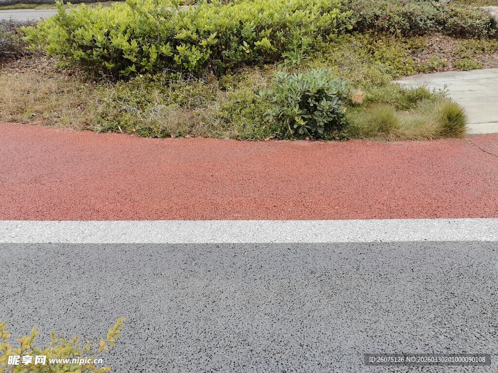 彩色步道旁的绿植景观
