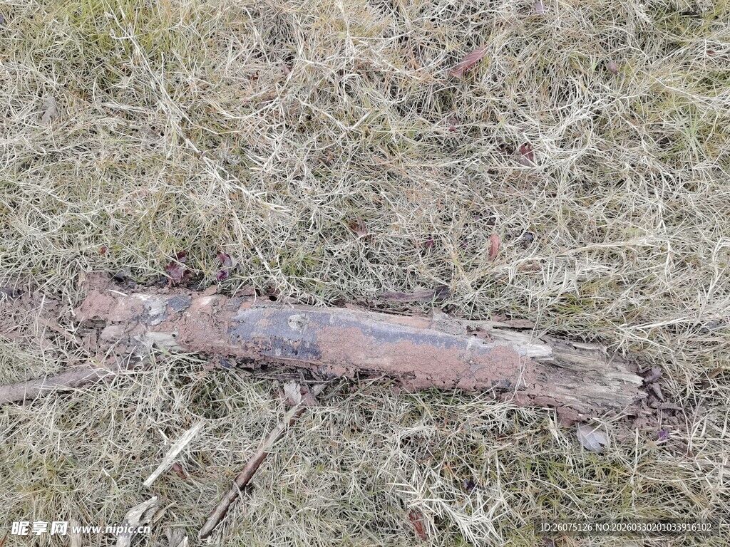 草地上的陈旧金属物件