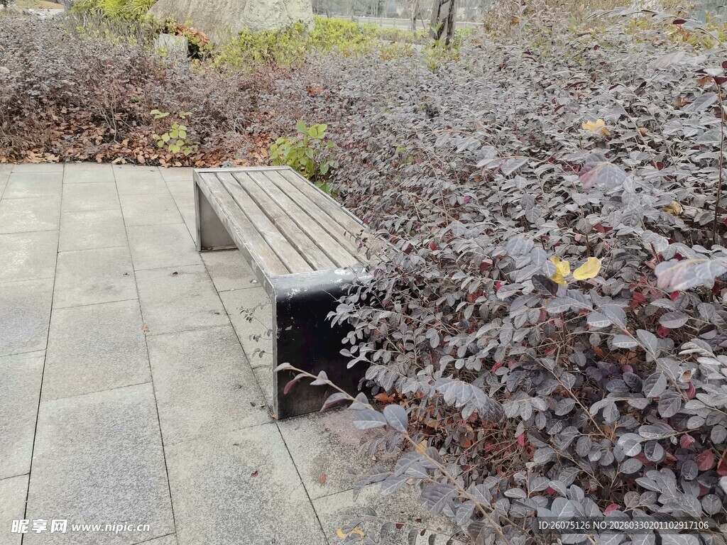 户外花园中的木质长椅