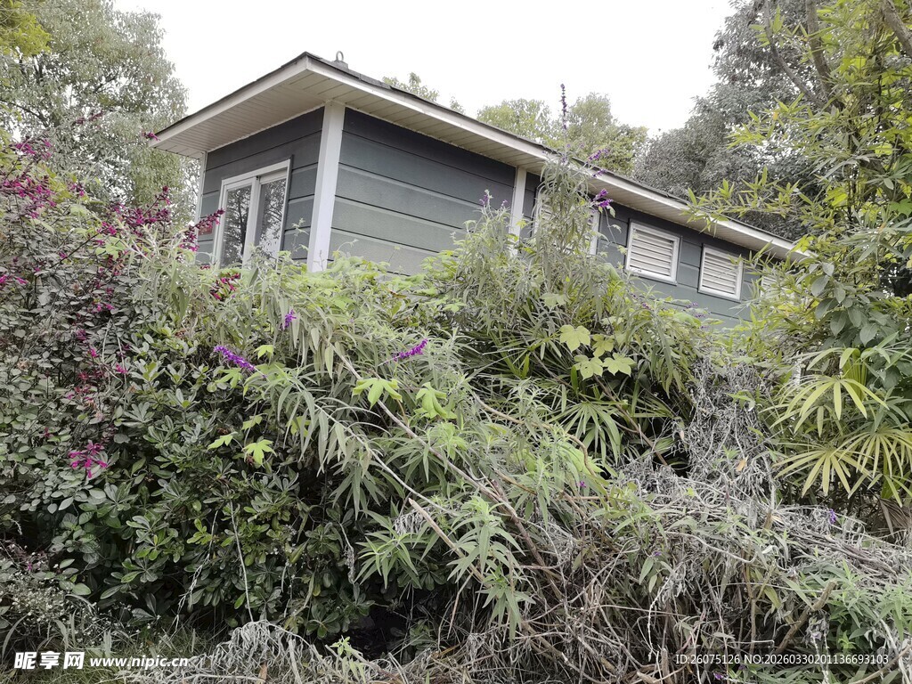 被绿植环绕的山间小屋