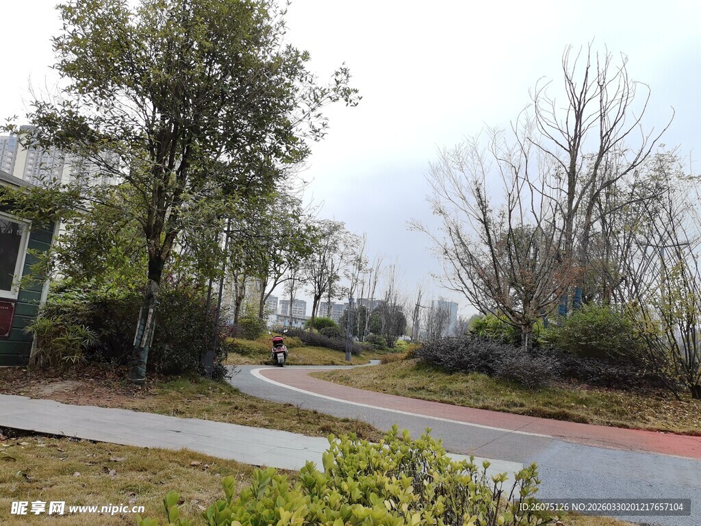 宁静的户外道路景观