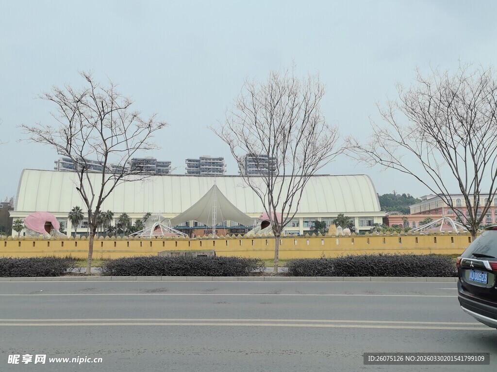 城市路旁建筑与车辆景象