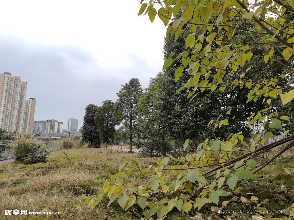 城郊自然景观绿植与建筑