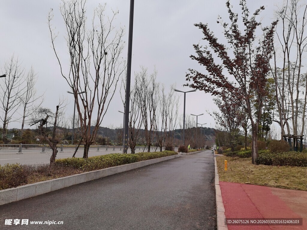 城郊静谧小路树木相伴