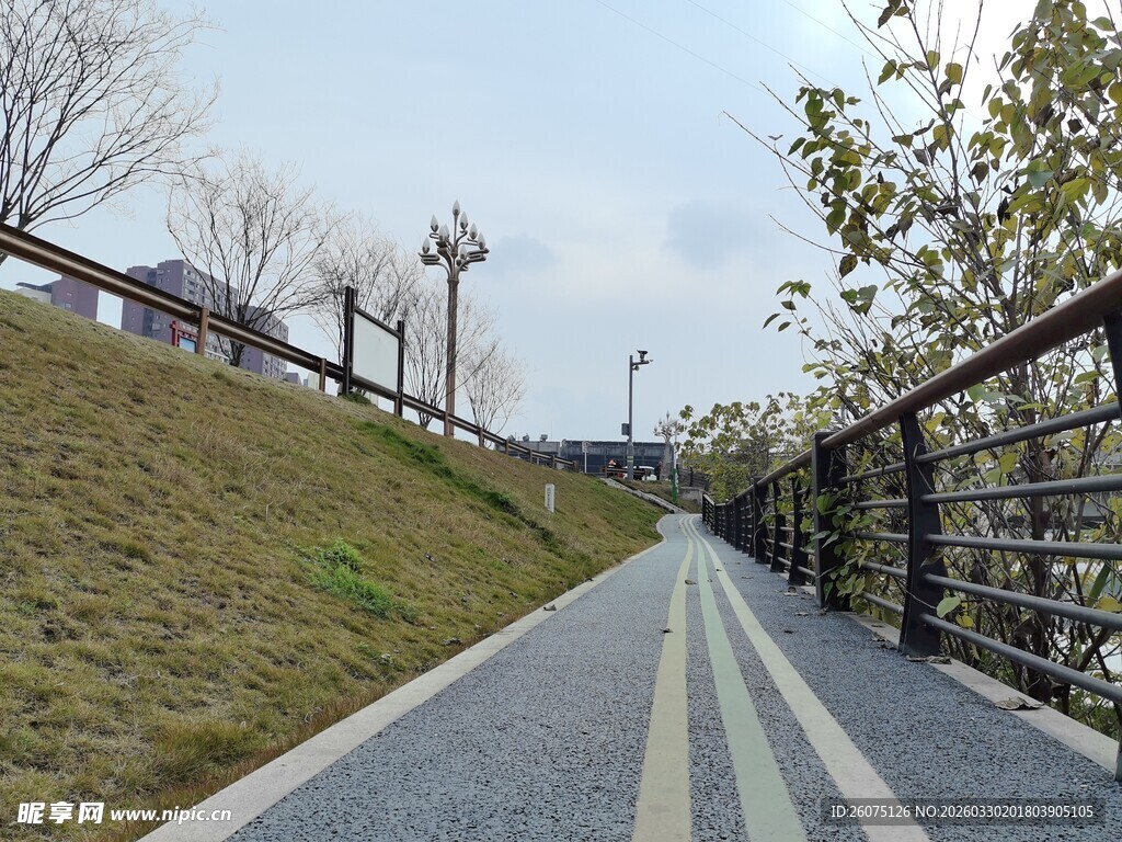 城市中的幽静步道