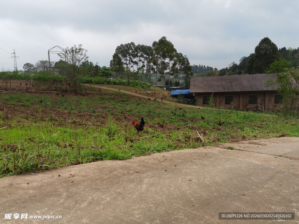 乡村田野边的开阔道路
