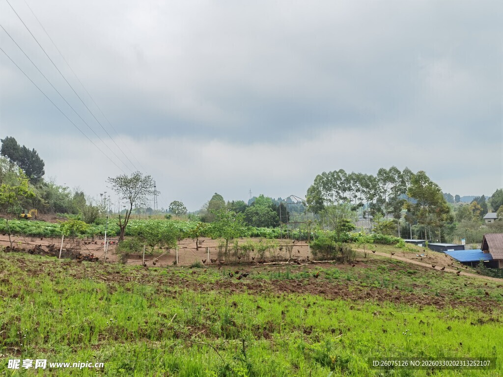 田野风光绿意盎然的自然地