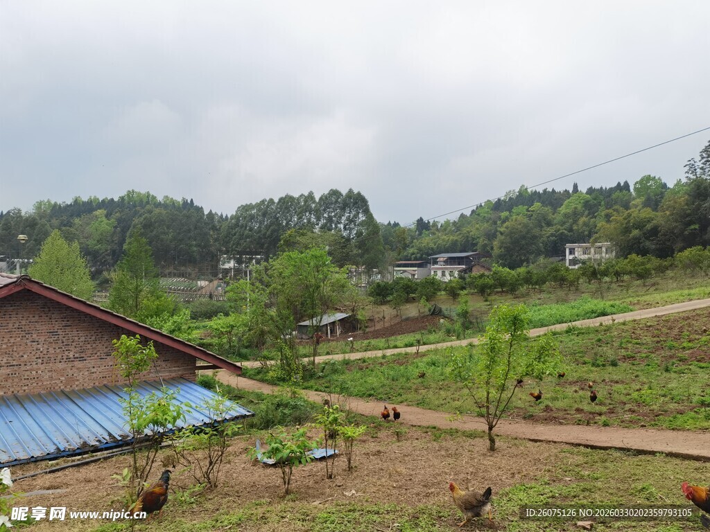 乡村田园风光与农舍景象