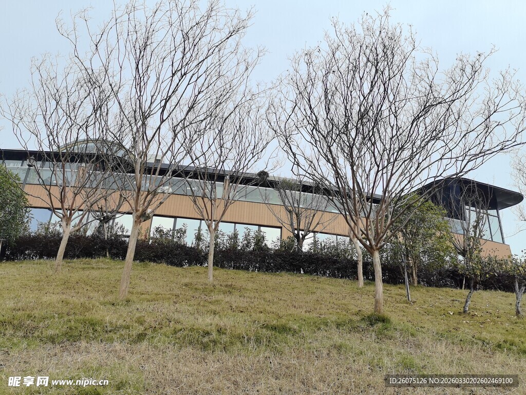 郊外简约建筑与开阔草地