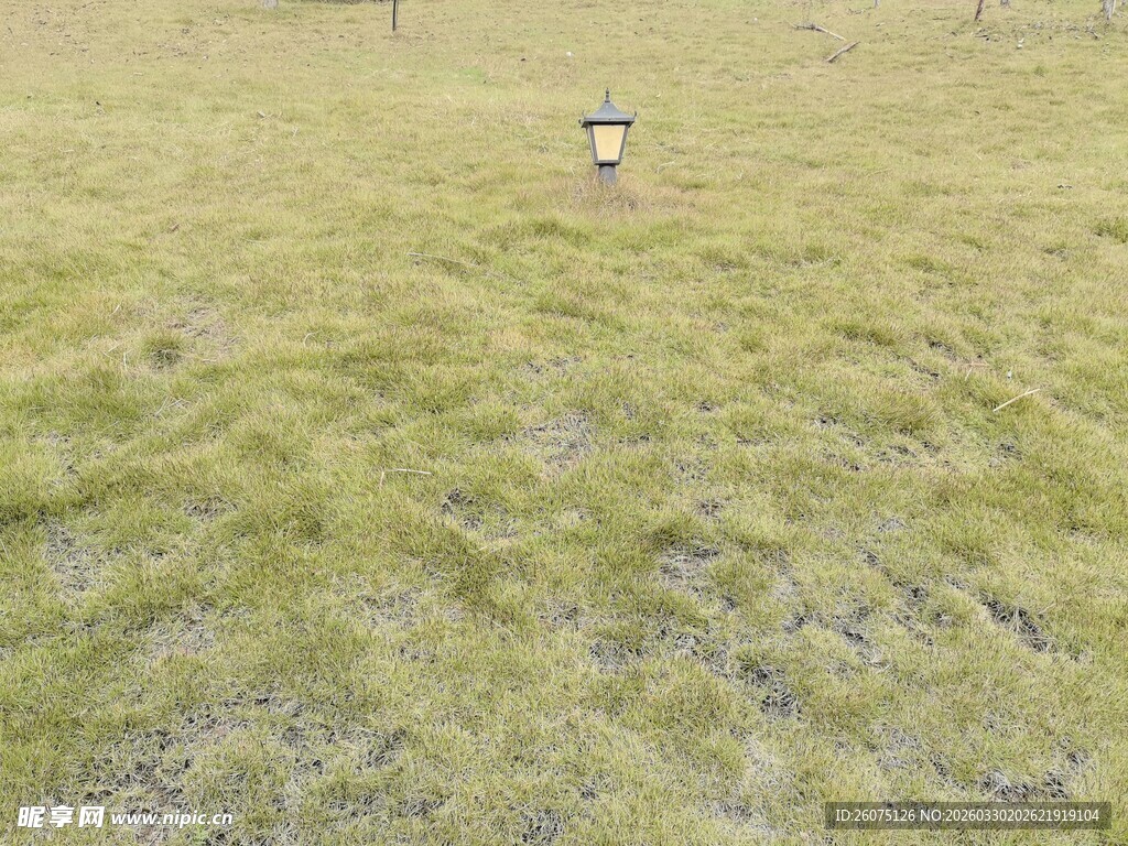 广袤草原上的空旷景象