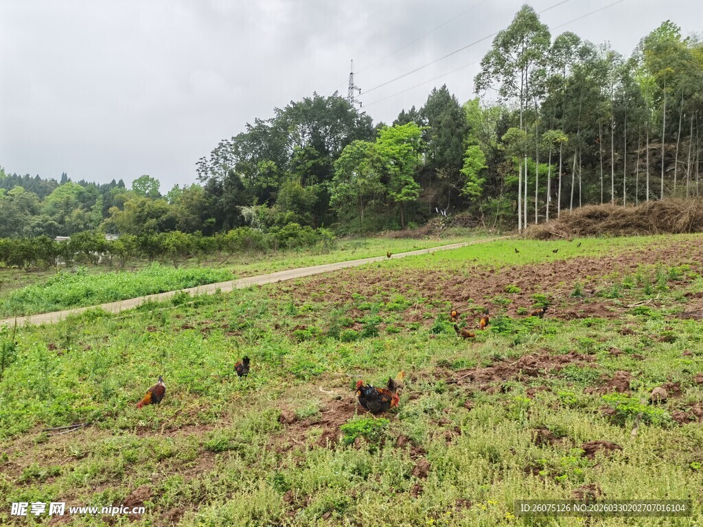 乡村田野间的开阔风景