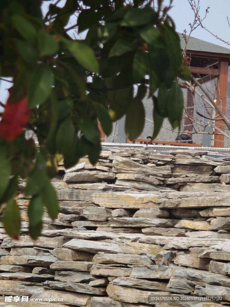 石砌景观与绿植相映成趣