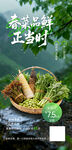 春菜尝鲜