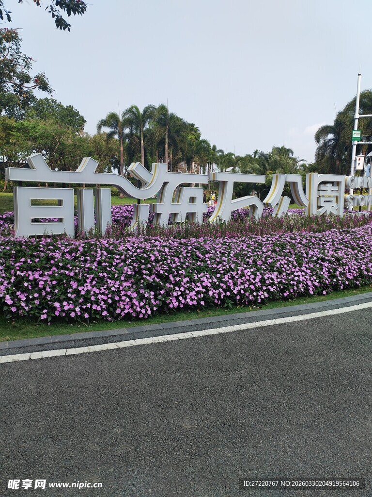 前海石景观 繁花簇拥