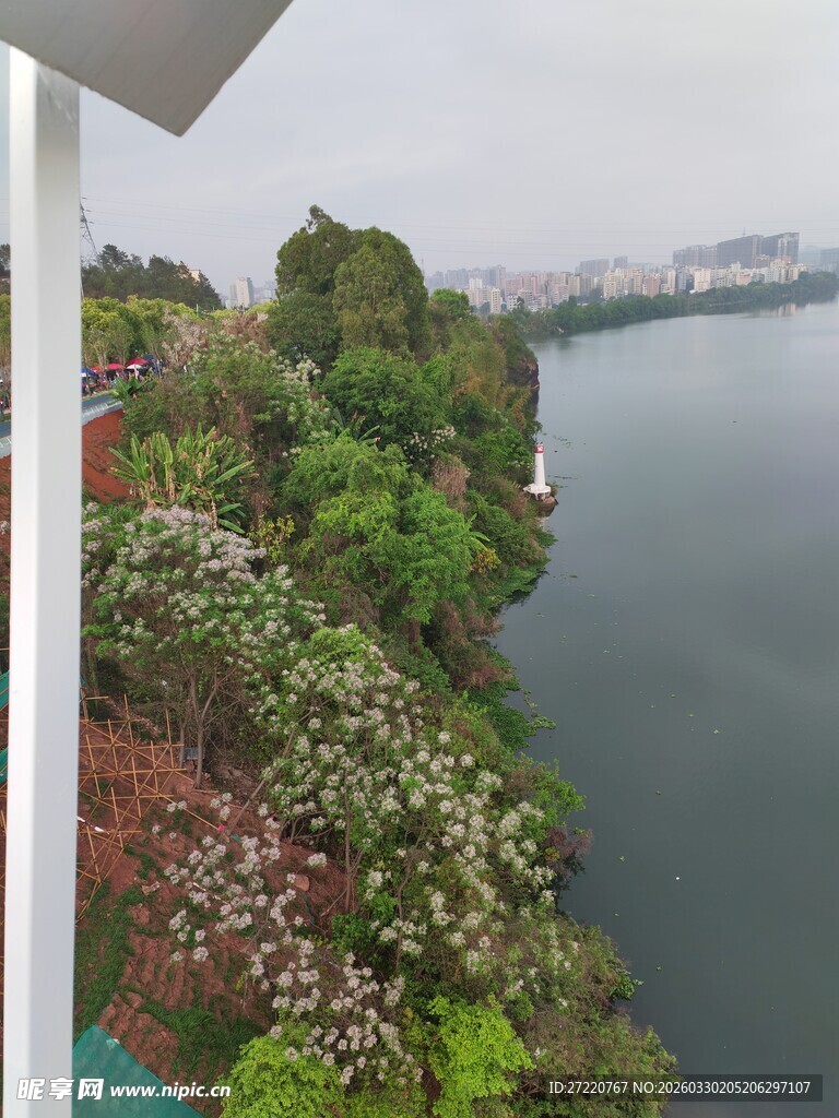 河畔绿植俯瞰美景